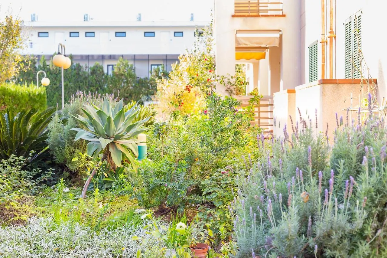 Codonyer B Apartment Port de Pollenca Spain
